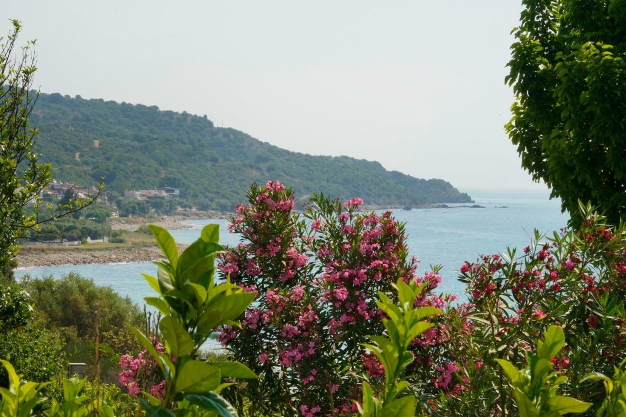 Secret Paradise Villas Loutra Elevtheron Eksteriør billede